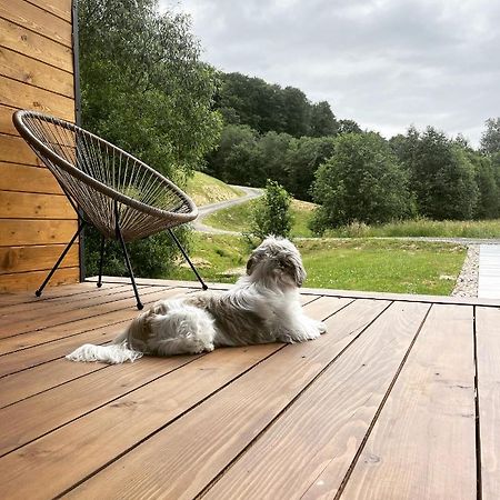 Mini Valley House 1 Sita Buzăului Zewnętrze zdjęcie