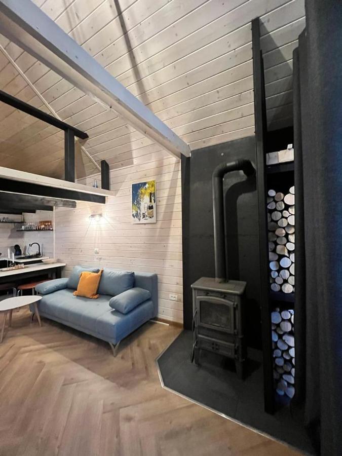 Mini Valley House 1 Sita Buzăului Zewnętrze zdjęcie