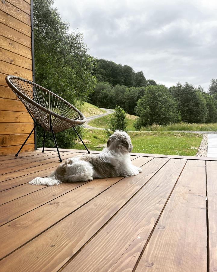 Mini Valley House 1 Sita Buzăului Zewnętrze zdjęcie